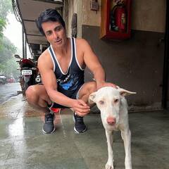 Sonu Sood Pics: बारिश में भीग रहे कुत्ते को सोनू सूद ने दिया सहारा, वायरल हुईं ये प्यारी तस्वीरें