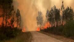 દક્ષિણ-પશ્ચિમ ફ્રાન્સમાં જંગલમાં લાગી આગ, રહેવાસીઓ અને પ્રવાસીઓનું સ્થળાંતર