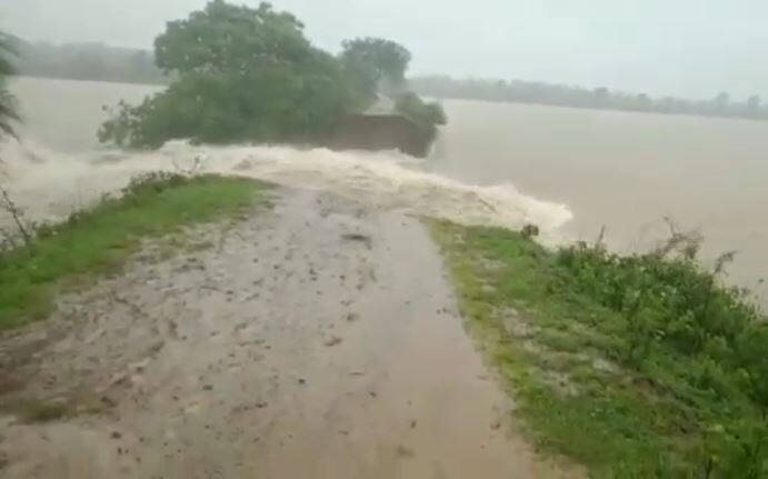 Gadchiroli Rain flood Latest Update maharashtra Rains Latest News Vidarbha Gondia Bhandara Nagpur Update Gadchiroli Rain : गडचिरोलीतील आठ तालुक्यांमध्ये अतिवृष्टी, 10 मार्ग बंद, अनेक गावांचा संपर्क तुटला