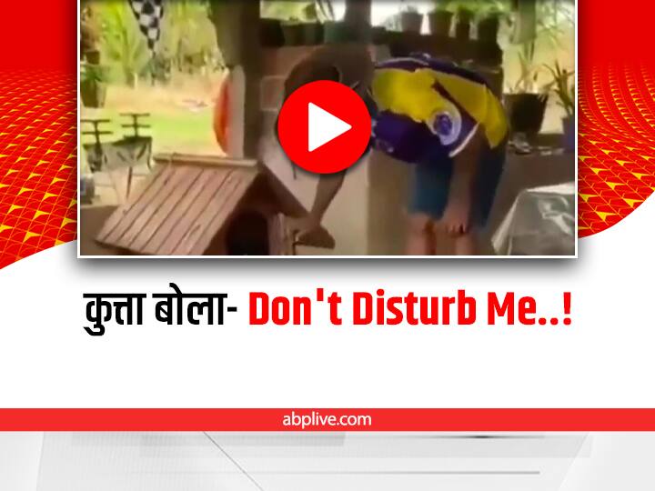 a dog don't want to come out from his house therefore started barking and close the door funny video viral on social media Funny Video: कुत्ता गुस्से में बोला Don't Disturb Me, वीडियो देखकर समझ जायेंगे कैसे