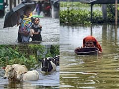 PHOTOS: રસ્તાઓ પર તરતા લોકો અને પ્રાણીઓ, પાણીમાં ડૂબી ગયા વાહનો... મહારાષ્ટ્રથી લઈને ગુજરાત સુધીમાં પૂરથી હાહાકાર