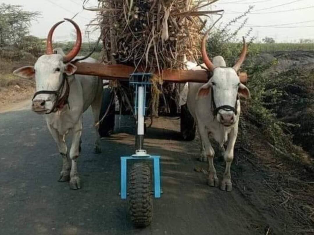 Viral Photo : Rolling sport fitted on a bullock cart to reduce the load of bullocks. Viral Photo : ఎద్దుల భారాన్ని తగ్గించిన ఐడియా - ఇప్పుడిదే సోషల్ మీడియా ట్రెండింగ్!