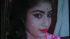 Nadia News: ডিভোর্সের আগের রাতে গুলি করে খুন স্ত্রীকে, পলাতক স্বামী