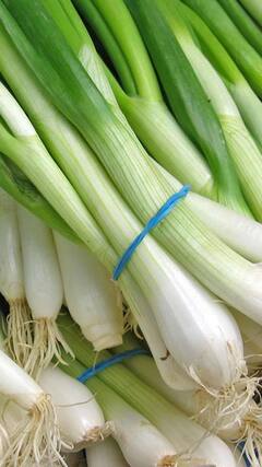 Health Tips : लाल कांद्याबरोबरच सफेद कांदाही आहे आरोग्यासाठी गुणकारी; पाहा फायदे