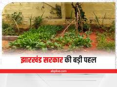 Jharkhand: सरकारी स्कूलों की खाली जमीन पर बनेंगे किचन गार्डन, इस बात का रखा जाएगा खास ध्यान 