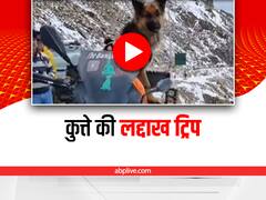 Watch: बाइक पर लद्दाख घूम रहा ये कुत्ता, वायरल वीडियो में देखिए सुहाने सफर की एक झलक