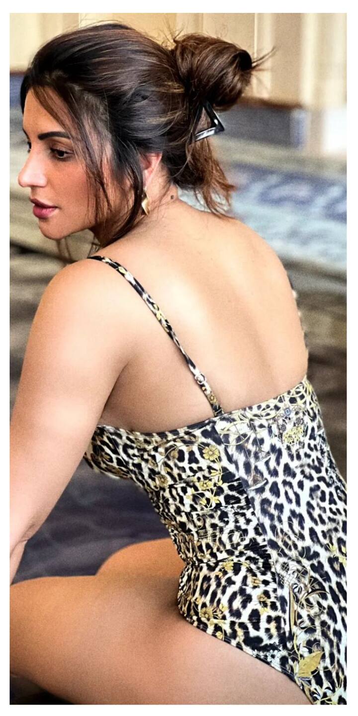 शमा सिकंदर के इंस्टाग्राम पर गौर करेंगे तो एक से बढ़कर एक ग्लैमरस और सिजलिंग तस्वीरों की भरमार देखने को मिलेगी.