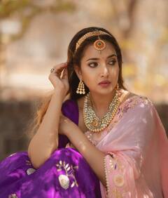 PHOTO: अभिनेत्री रुपाली भोसलेचा राजेशाही थाट; नव्या फोटोशूटमध्ये दिसतेय खास!