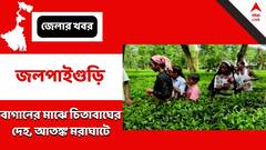 Jalpaiguri: চা বাগান থেকে উদ্ধার চিতাবাঘের দেহ, মৃত্যু নিয়ে ধোঁয়াশা