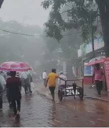 नागपूरमधील जुनापाणी गावातील तलाव फुटला, 15 शेळ्या गेल्या वाहून, शेतीचंही नुकसान
