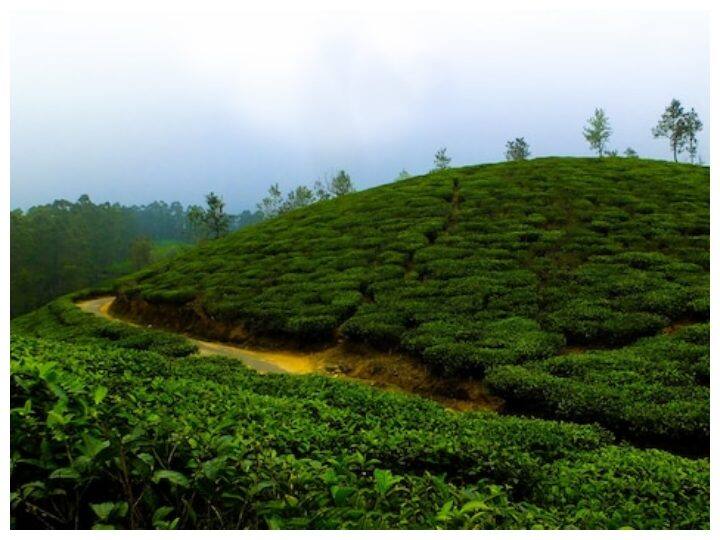 Nahan: मानसून के मौसम हिमाचल के नाहन की खूबसूरती देखते बनती है. यहां आप नौका विहार, रेणुका मंदिर, रेणुका सेंचुरी, सिंबलवाड़ा वाइल्डलाइफ सेंचुरी और जैतक किला देखने का आनंद ले सकते हैं.