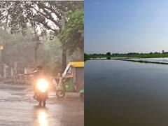 In Pics: कोटा संभाग में हुई अब तक सामान्य से ज्यादा बारिश, किसानों के चेहरों पर आई मुस्कान