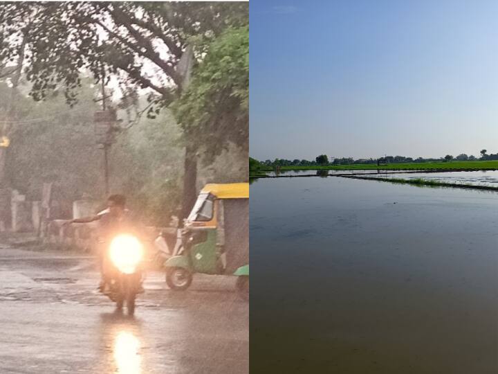 सावन से पहले ही इन्द्रदेव की महरबानी से किसानों के चेहरे पर रंगत है. राजस्थान में अब तक सामान्य से 48 फीसदी ज्यादा बारिश हो गई है. वहीं प्रदेश के 11 जिलों में अभी मानसून एक्टिव रहेगा. जिलेवार स्थिति देखें तो बांसवाड़ा, झालावाड़, बारां, कोटा जिलों में अब तक औसतन 250एमएम से ज्यादा बरसात हो चुकी है. अच्छी बारिश के कारण ही इस बार खरीफ की फसल का रकबा भी कुल लक्ष्य का 60 फीसदी एरिया में बोया जा चुका है. यह पिछले साल 14 जुलाई तक हुई बुवाई की तुलना में दोगुना है.