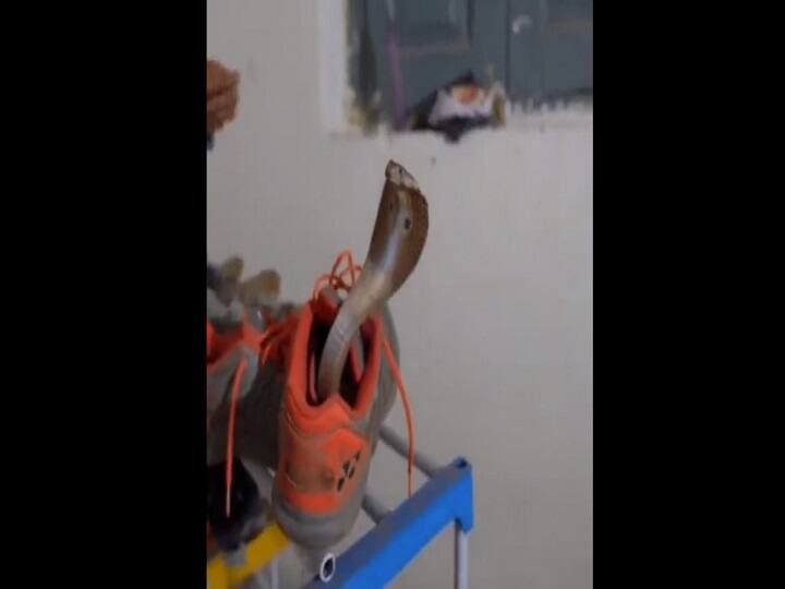 You will find them at oddest possible places in monsoons IFS officer warns of snakes Snake in Shoe : ஷூவுக்குள் ஒளிந்திருக்கும்னு பாடணுமா? பதறவைத்த பாம்பு.. வார்னிங் கொடுத்த வனத்துறை..