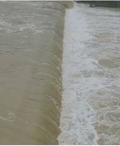 राज्यात विविध ठिकाणी मुसळधार पाऊस