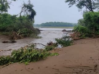 Nagpur Rain : नागपूरमधील जुनापाणी गावात तलाव फुटला, 15 शेळ्या गेल्या वाहून, शेतीचही मोठं नुकसान