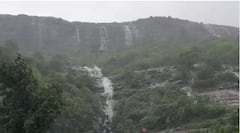 PHOTO : हिरवा निसर्ग हा भवतीने...लोणावळ्यातील निसर्गाचं मनमोहक दृश्ये