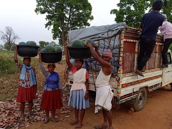 Jharkhand: कभी नक्सली हिंसा से लाल थी ये धरती, अब यहां तरबूज की लाली से फैल रही खुशहाली