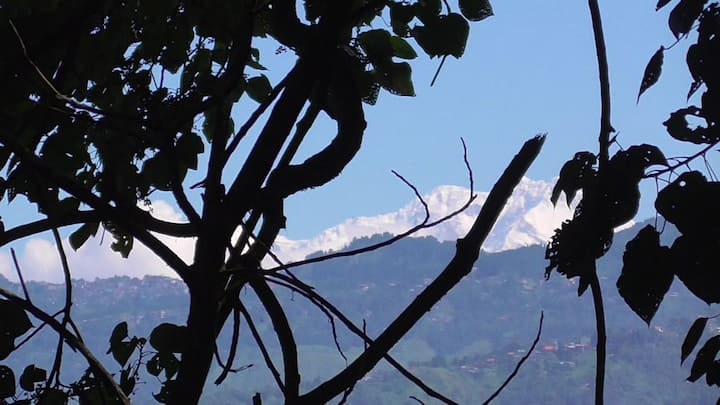 এখন যদিও বর্ষাকাল। এই সময়ে পাহাড়ে যাওয়ার ঠিক আদর্শ সময় নয়। তবুও দেখা পাওয়া যাচ্ছে পর্যটকদের। আর ঠিক এইসময়েই রোদ ঝলমলে পাহাড় দেখে খুশি তাঁরা। এদিন সকাল থেকেই দার্জিলিঙের নানা ফভইউ পয়েন্ট থেকেই দেখা মিলেছে কাঞ্চনজঙ্ঘার।  ছবি ও তথ্য: মোহন প্রসাদ