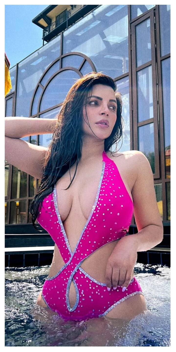 शमा सिकंदर ने वेब सीरीज में एक से बढ़कर एक बोल्ड सीन देकर लोगों के होश उड़ा दिए थे.