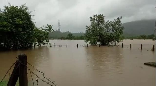 Maharashtra Rains heavy rains kill 99 in Maharashtra so far, 7963 people have been rescued Maharashtra Rains : राज्यभरात मुसळधार पावसामुळे आतापर्यंत 99 जणांचा मृत्यू