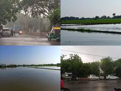 In Pics: कोटा संभाग में हुई अब तक सामान्य से ज्यादा बारिश, किसानों के चेहरों पर आई मुस्कान