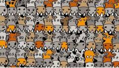 Optical Illusion: ਕੀ ਤੁਹਾਡੀ ਹੈ ਬਾਜ਼ ਤੋਂ ਵੀ ਤੇਜ਼ ਨਜ਼ਰ? 10 ਸਕਿੰਟਾਂ ਵਿੱਚ ਗਾਵਾਂ ਵਿੱਚ ਲੁਕੇ ਕੁੱਤੇ ਨੂੰ ਲੱਭ ਕੇ ਦਿਖਾਓ