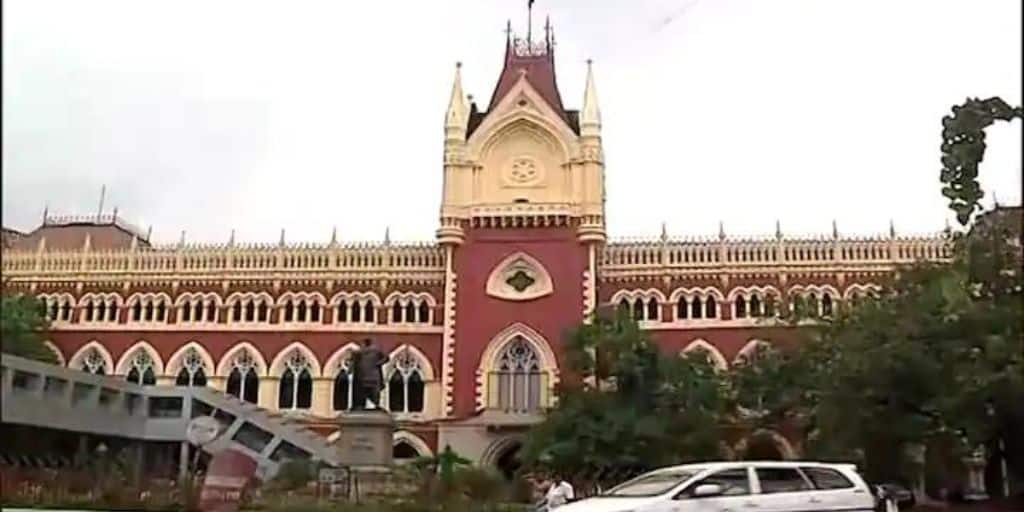 Calcutta High Court Expresses Disappointment In Pig Missing Investigation Case Calcutta HC: কোথায় 'ঘনা', শুয়োর নিখোঁজ মামলায় পুলিশি তদন্তে খুশি নয় কলকাতা হাইকোর্ট