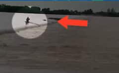 India Rain Updates: Carelessness of administration leads to rise in death toll? | ABP News