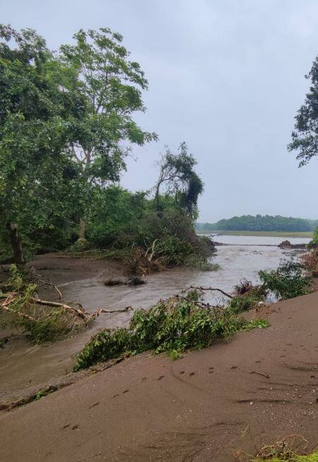 तलाव फुटल्यानं शेतीचं