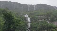 PHOTO : हिरवा निसर्ग हा भवतीने...लोणावळ्यातील निसर्गाचं मनमोहक दृश्ये