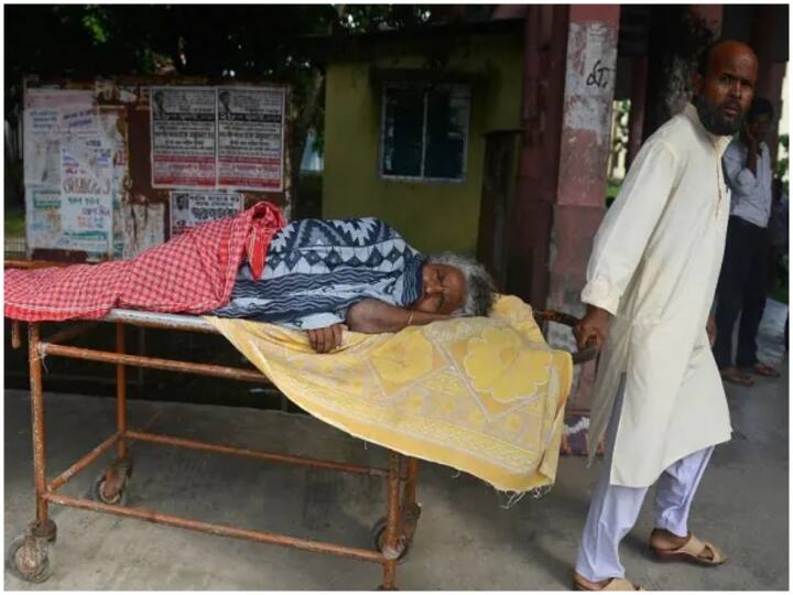 Assam News 23 people died in Assam due to Japanese Encephalitis disease Assam News: बाढ़ के बाद अब असम में जापानी इंसेफेलाइटिस का कहर, अब तक 23 लोगों की मौत