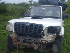 धक्कादायक! बैल तस्करीसाठी चक्क स्कार्पिओचा वापर, अपघातामुळे चोरट्यांचं बिंग फुटलं