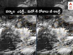 Rains in AP Telangana: ఏపీలో నేడు ఓ మోస్తరు వర్షాలు - జూలై 20 వరకు తెలంగాణకు ఎల్లో అలర్ట్: IMD