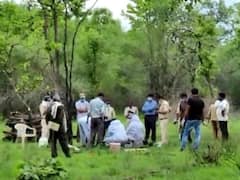 Umaria News: बांधवगढ़ टाइगर रिजर्व में फिर हुई बाघ की मौत, जनवरी 2021 से अब तक 18 की गई जान