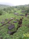 Nashik Landslide : नाशिकच्या पेठ तालुक्यात रस्त्याला तडे, डोंगरांना भेगा, जिल्हाधिकाऱ्यांची भेट, दहा कुटुंबांचे स्थलांतर