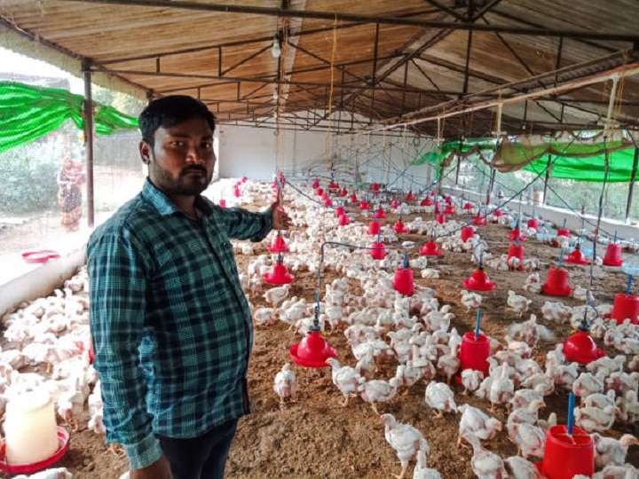 Poultry Farming: बरसात में मुर्गियों से फैल सकता है घातक इंफैक्शन, रोकथाम के लिये पोल्ट्री फार्म करें ये जरूरी काम