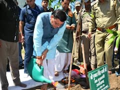 Uttarakhand: 'हरेला' पर एक महीने तक चलेगा वृक्षारोपण अभियान, सीएम धामी ने पौधारोपण कर दिया ये संदेश
