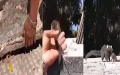 Watch: ਮਾਂ ਦੀ ਗੋਦ 'ਚੋਂ ਟੋਏ 'ਚ ਡਿੱਗਿਆ ਬਾਂਦਰ ਦਾ ਬੱਚਾ, ਇਨਸਾਨ ਨੇ ਮਸੀਹਾ ਬਣ ਕੇ ਬਚਾਈ ਜਾਨ