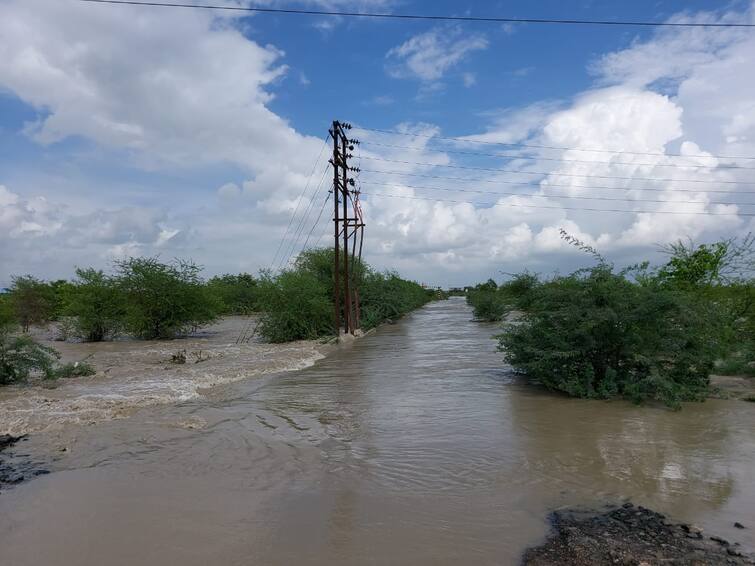 Farmers crops were washed away due to ash water floods in nagpur koradi Koradi : खसाळा राख बंधारा कोसळला, सहा गावांच्या पाण्यात वीज प्रकल्पाची राख