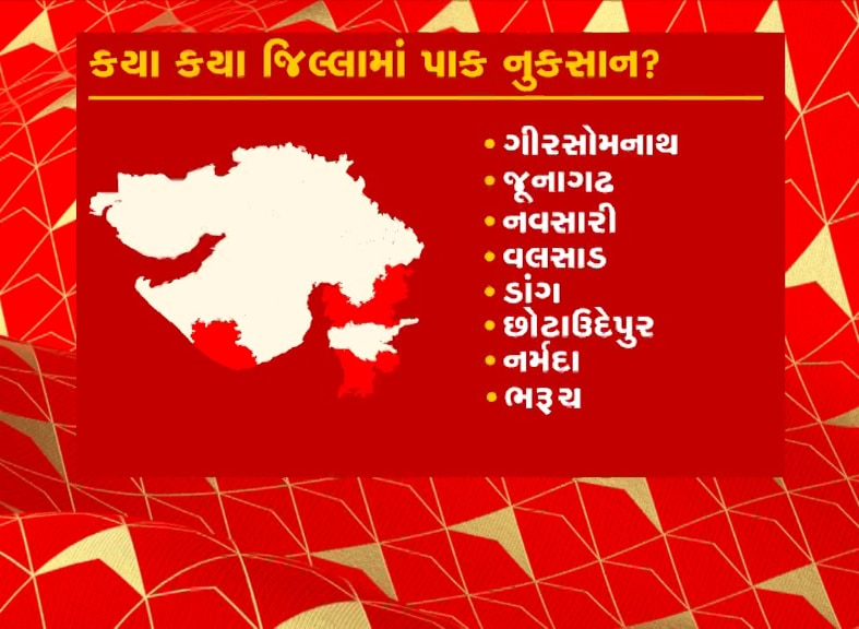 Gujarat Agriculture News:  રાજ્યમાં ભારે વરસાદથી આ વિસ્તારમાં પાક નુકસાનીનો થશે સર્વે, જાણો વિગત