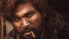 Allu Arjun: 'পুষ্পা' ছবিতে কেন একটা কাঁধ তুলে হাঁটেন আল্লু অর্জুন? জানা গেল আসল কারণ