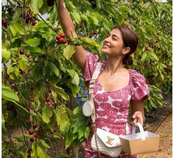 पूजा हेगडे कुटुंबासोबत ट्रिपला