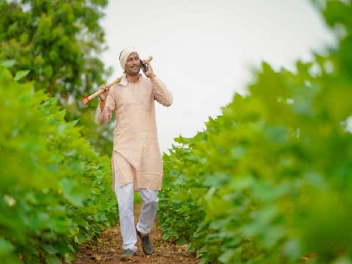 इस मोबाइल एप के जरिये किसानों को फसल उत्पादन की उन्नत तकनीक, बीज, खाद-उर्वरक और संबंधित तकनीकों की ट्रेनिंग और फसल की मार्केटिंग के खास तरीकों के बारे में भी बताया जाता है.