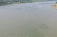 Gujarat Rain: રાજ્યમાં છેલ્લા 24 કલાકમાં 204 તાલુકાઓમાં વરસાદ, સૌથી વધુ આ જિલ્લામાં નોંધાયો વરસાદ