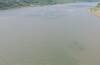 Gujarat Rain: રાજ્યમાં છેલ્લા 24 કલાકમાં 204 તાલુકાઓમાં વરસાદ, સૌથી વધુ આ જિલ્લામાં નોંધાયો વરસાદ
