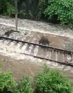 MP Rain Photos: एमपी में ट्रेक पर भरा बारिश का पानी, इटारसी-नागपुर ट्रैक की ट्रेनें हुई डाइवर्ट, मौसम विभाग ने जारी किया भारी बारिश का अलर्ट