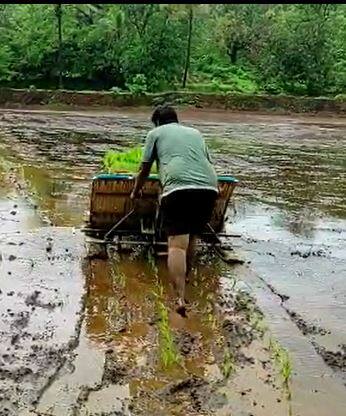 भात लावणी यंत्राचा शेतकऱ्यांना होणार फायदा
