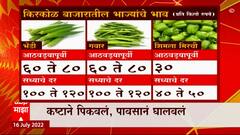 Wardha Special Report : कष्टानं पिकवलं, पावसानं घालवलं! पावसाचा पिकांना फटका, बळीराजा संकटात