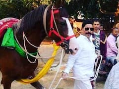 Anant Singh: कभी लालू यादव के घोड़े को खरीदकर सुर्खियों में आए थे अनंत सिंह! अपने 'लाडला' का रखते हैं विशेष ख्याल
